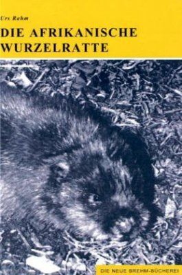 Die Afrikanische Wurzelratte [The East African Mole Rat]