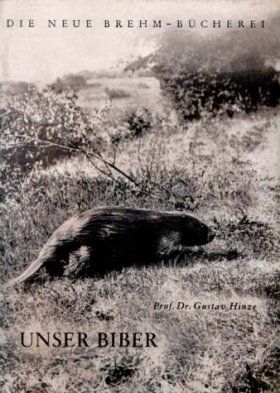 Unsere Biber [Our Beavers]