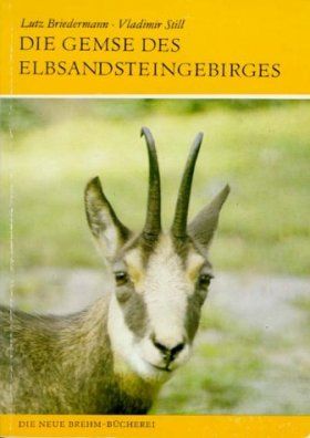 Die Gemse des Elbsandsteingebietes [The Chamois]