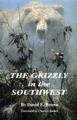 The Grizzly in the Southwest