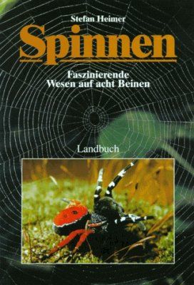 Spinnen: Faszinierende Wesen auf acht Beinen