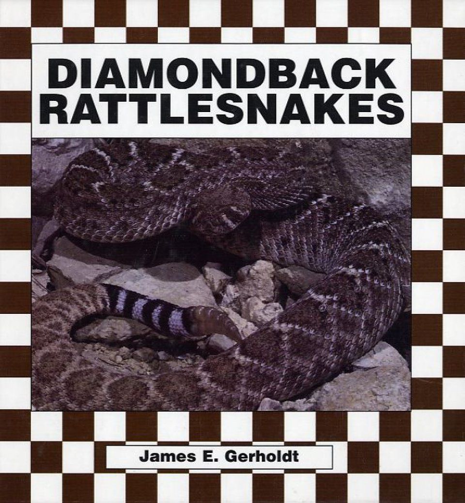 Diamondback Rattlesnakes