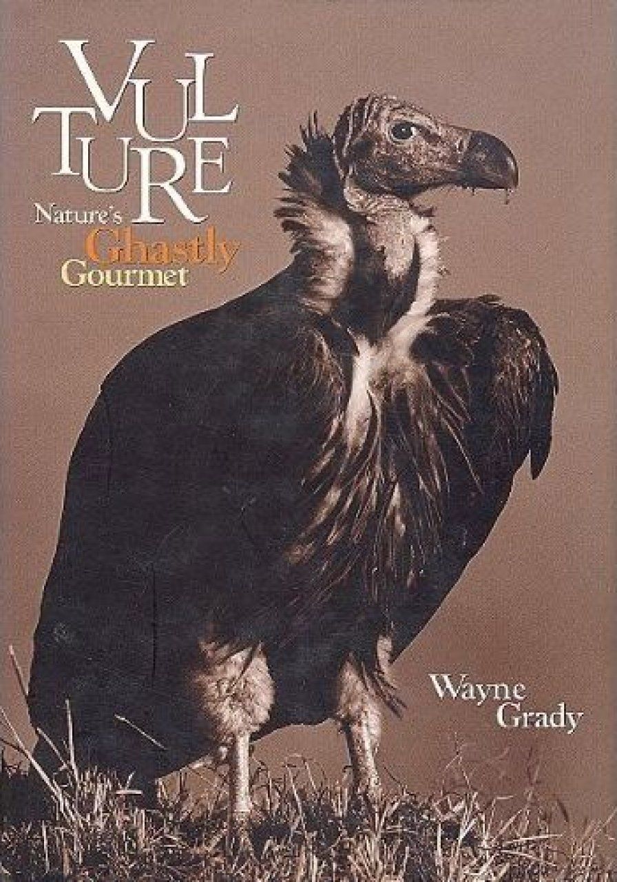 Vulture: Nature&#039;s Ghastly Gourmet