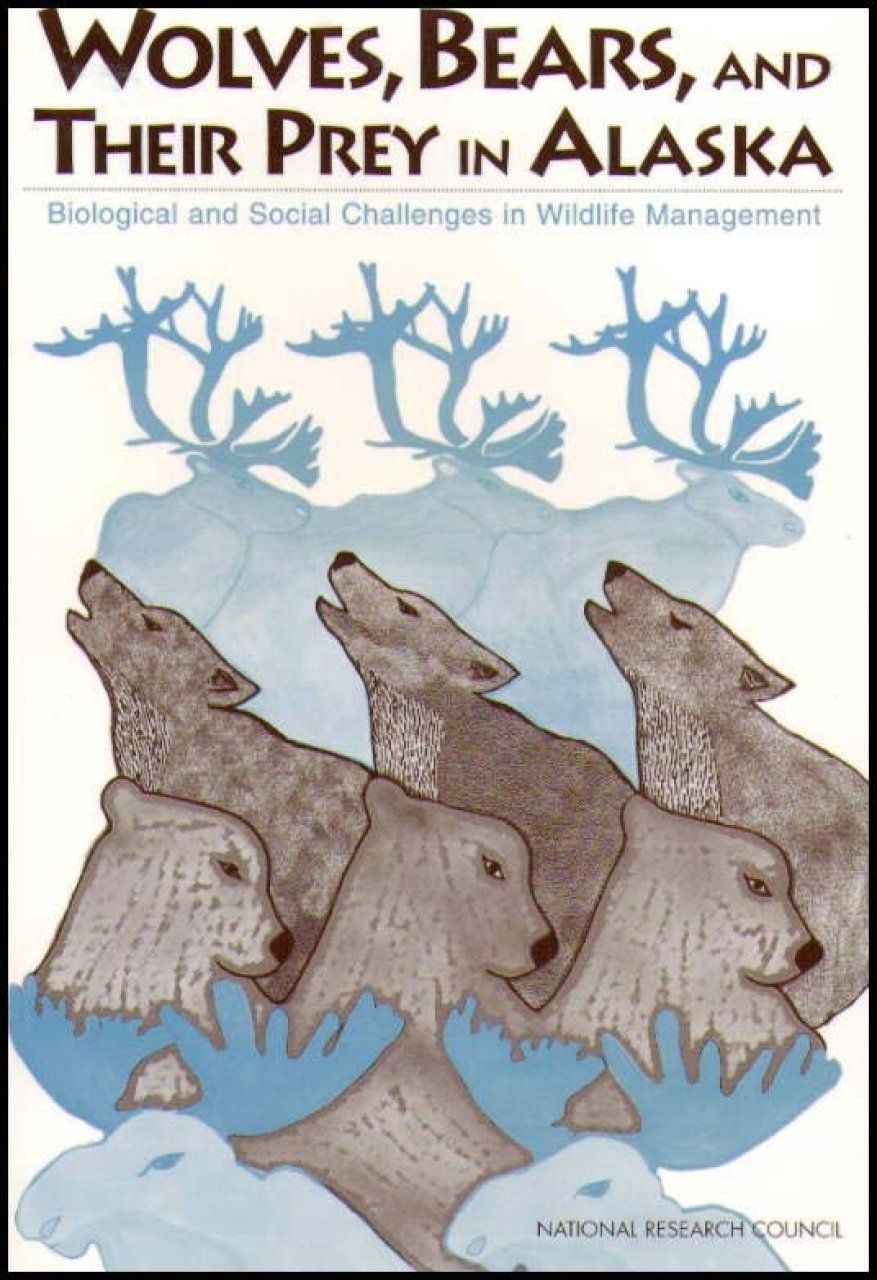 Wolves, Bears and their Prey in Alaska