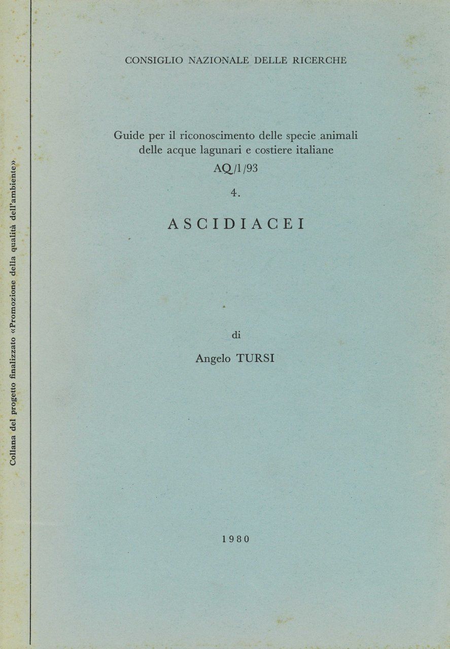 Ascidiacei [Italian]