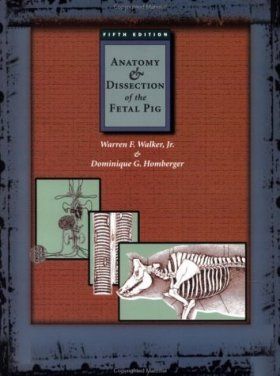 Anatomy &amp; Dissection of the Fetal Pig