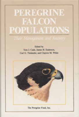 Peregrine Falcon Populations
