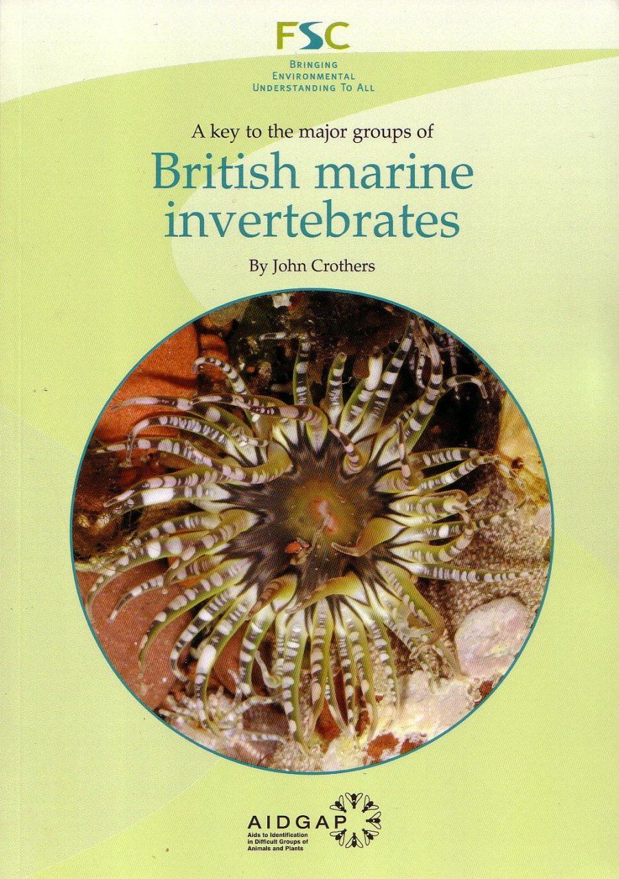 A Key to the Major Groups of British Marine Invertebrates