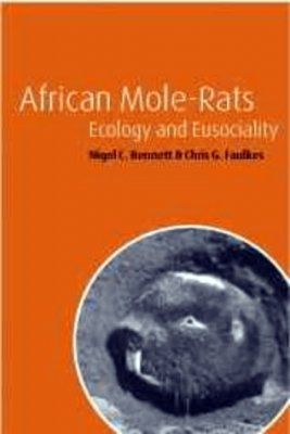 African Mole-Rats