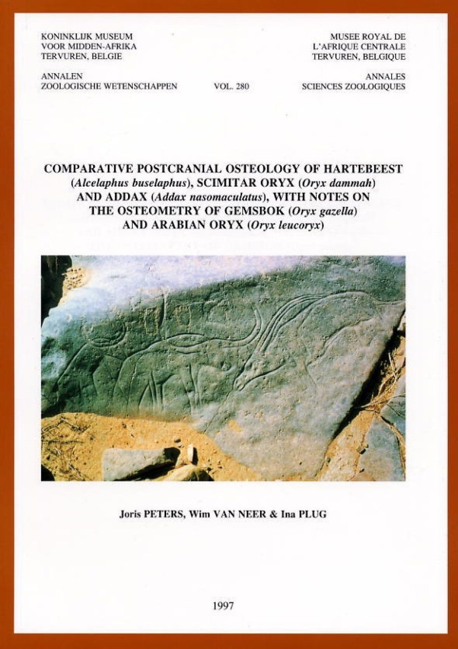 Comparative Postcranial Osteology of Hartebeest (Alcelaphus buselaphus), Scimitar Oryx (Oryx dammah) and Addax (Addax nasomaculatus), With Notes On the Osteometry of Gemsbok (Oryx gazella) and Arabian Oryx (Oryx leucoryx)
