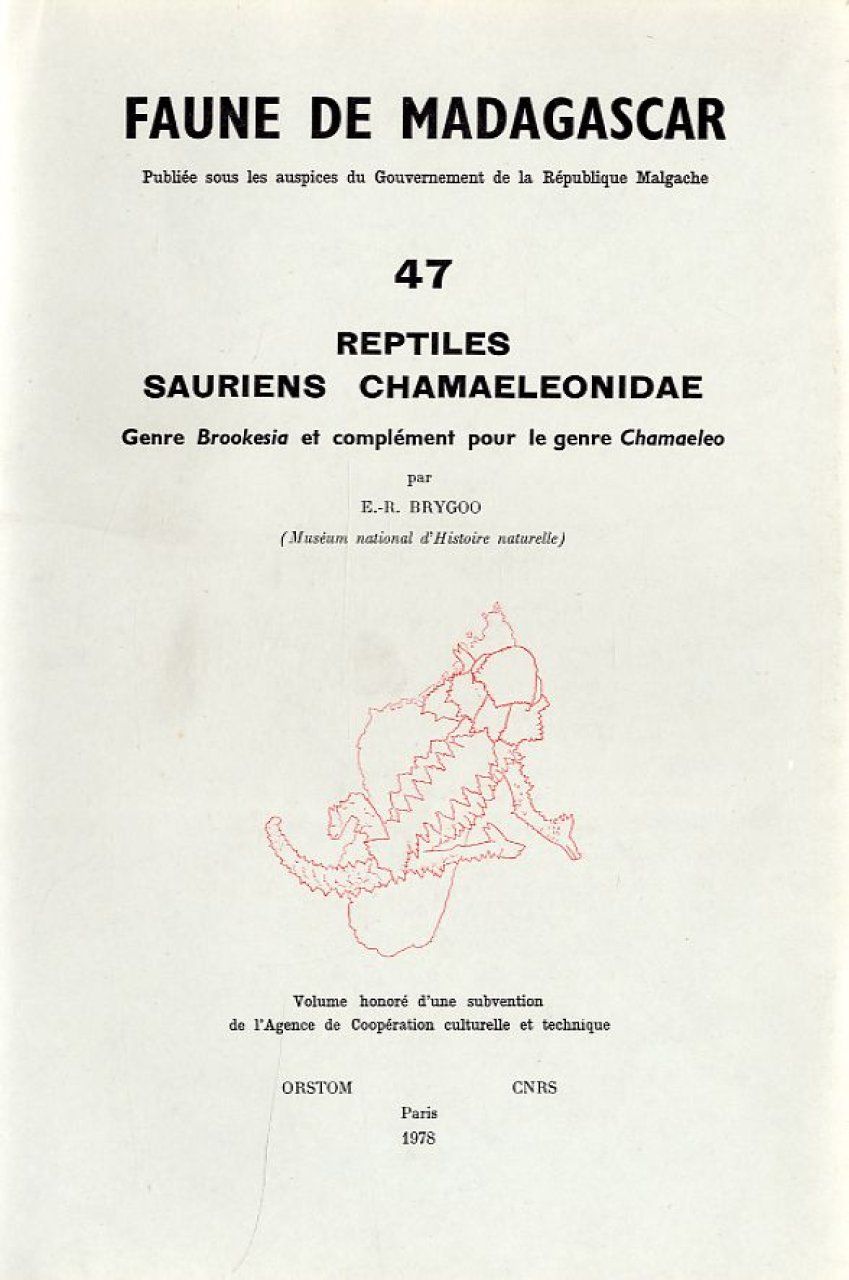 Faune de Madagascar: Fasc. 47 - Reptiles: Sauriens Chamaeleonidae