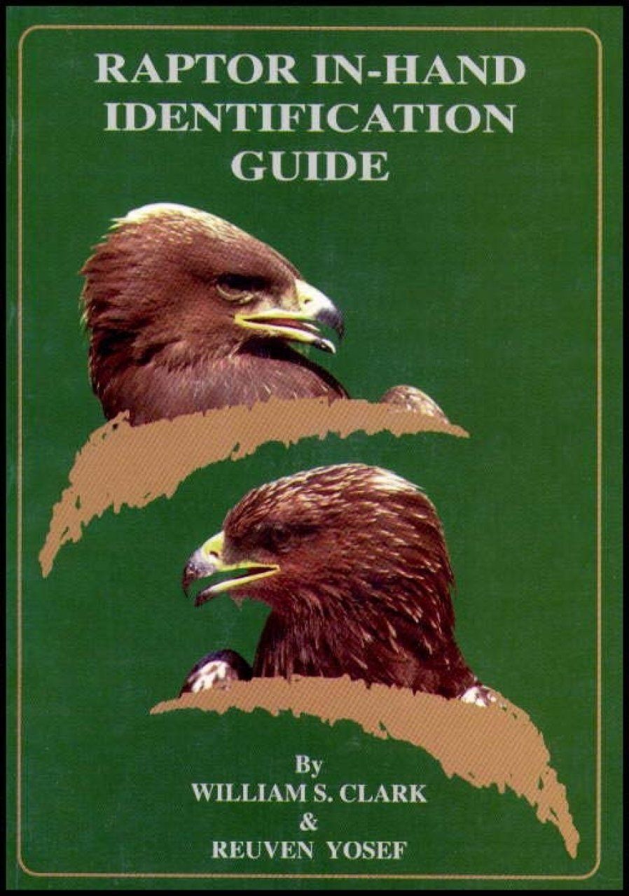 Raptor In-Hand Identification Guide