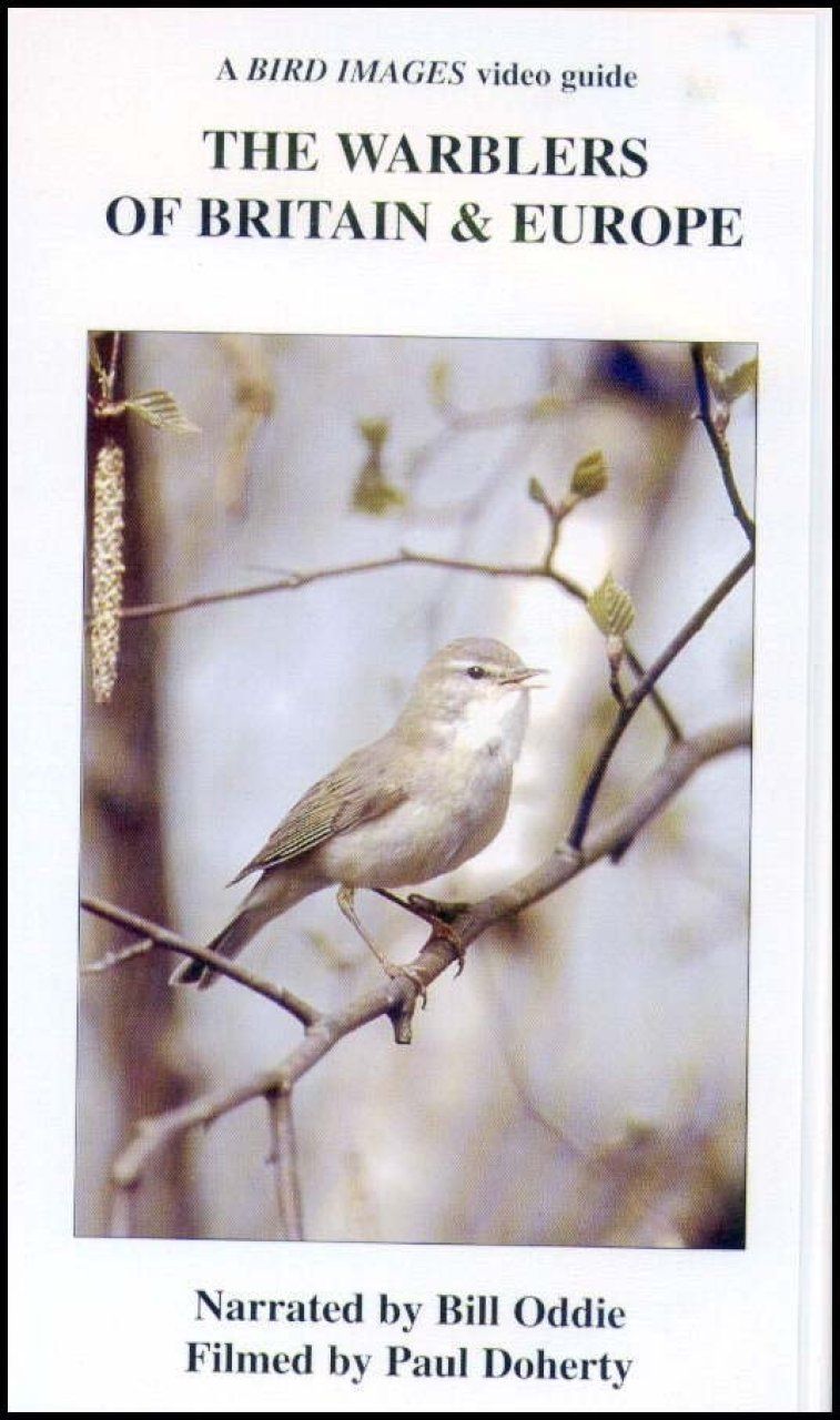The Warblers of Britain and Europe