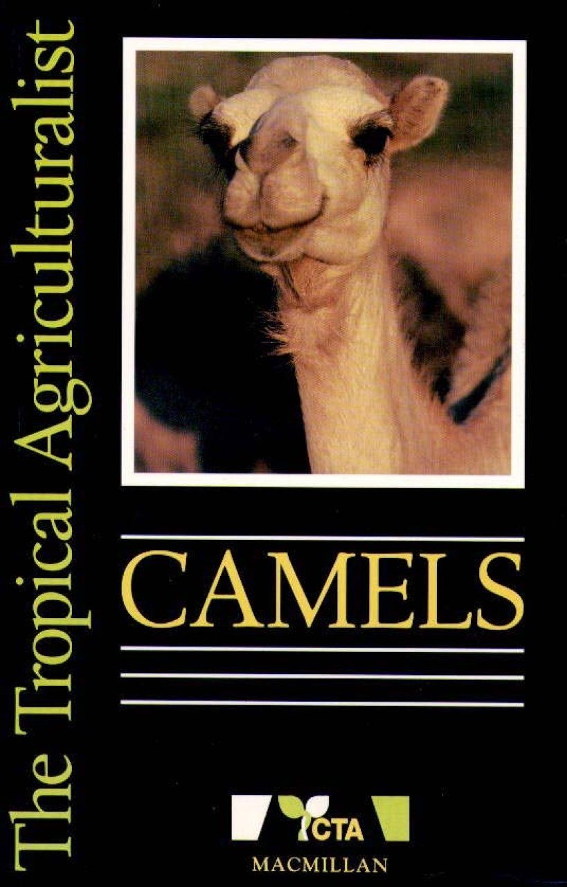 Camels