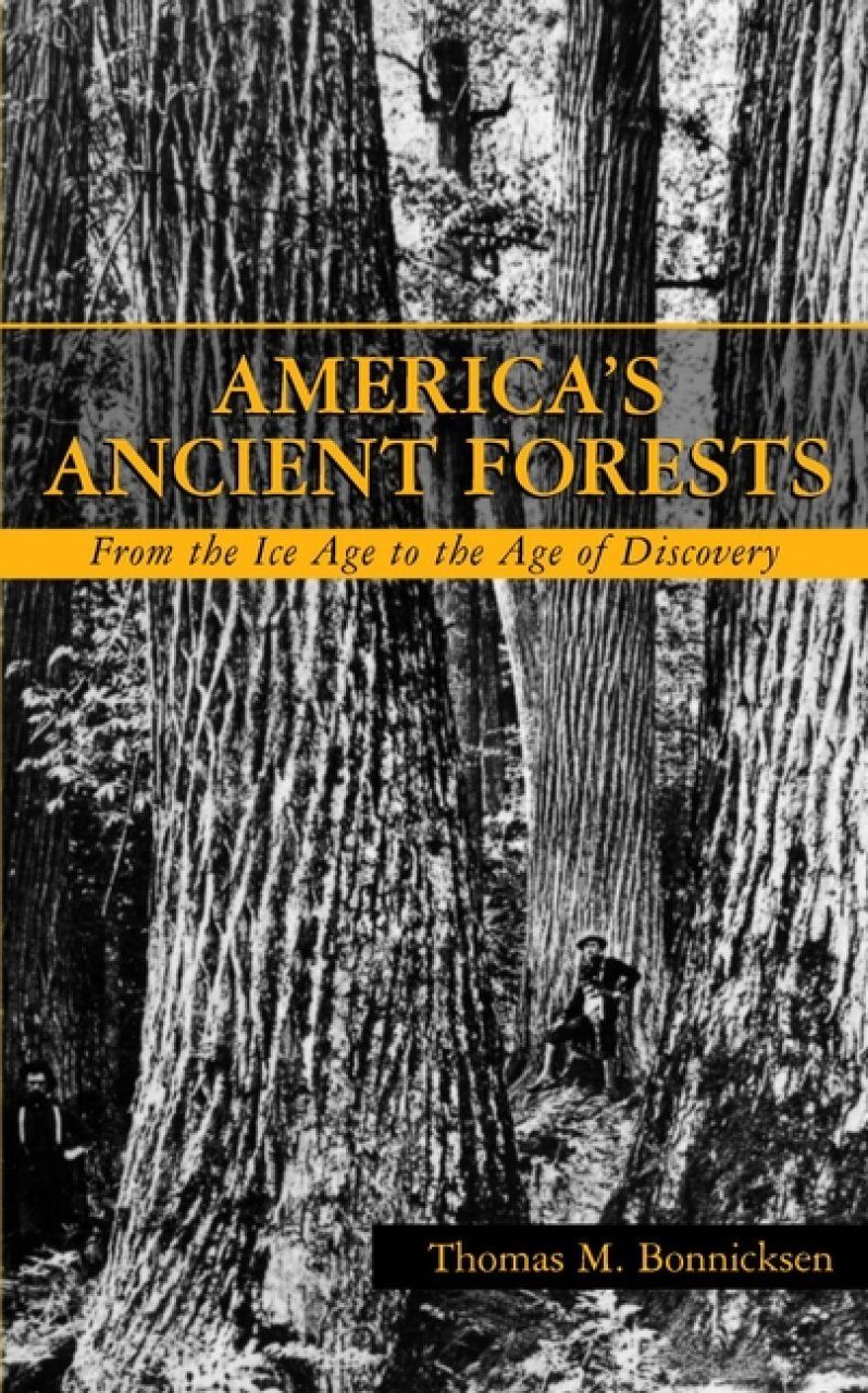 America&#039;s Ancient Forests