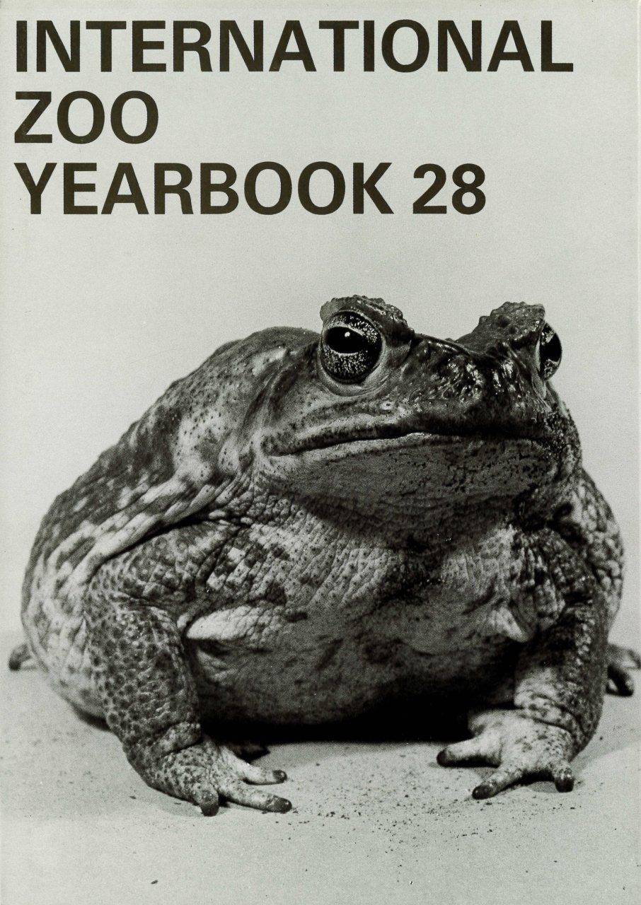International Zoo Yearbook 28: Reptiles and Amphibians