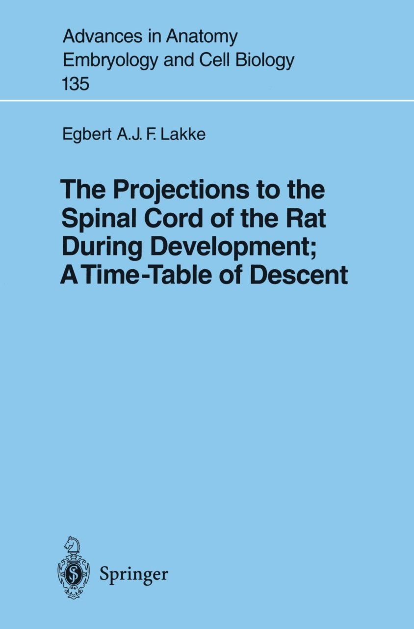 The Projections to the Spinal Cord of the Rat During Development