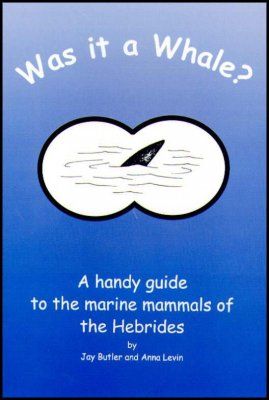 Was it a Whale?