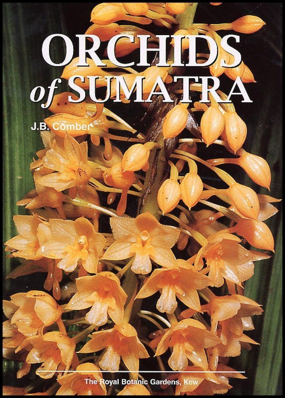 Orchids of Sumatra