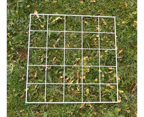 Q2 Quadrat