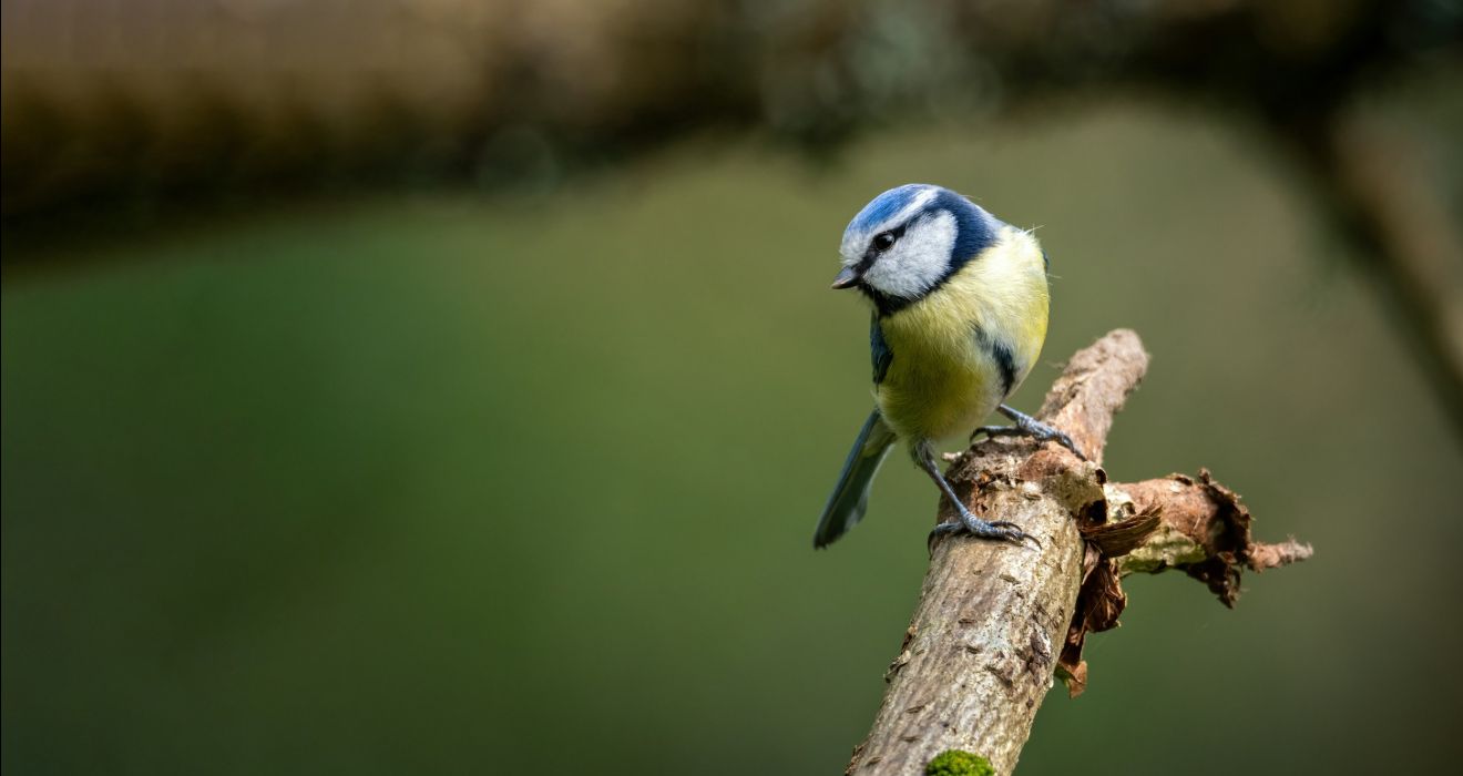 Spring into nature