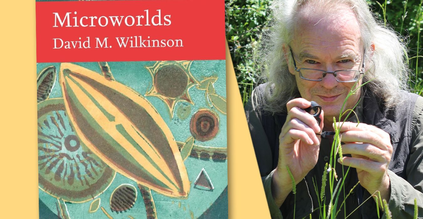 Author interview with David M Wilkinson: Microworlds