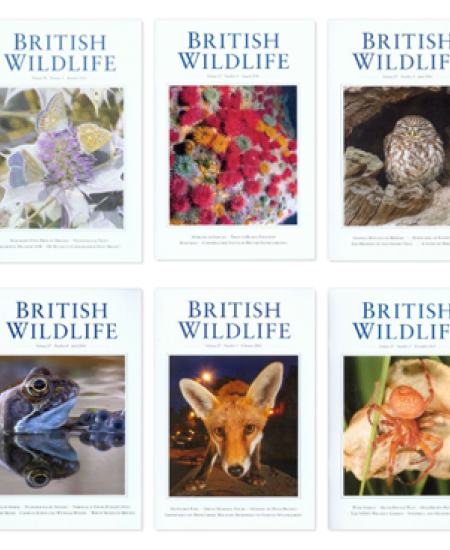 British Wildlife has expanded!