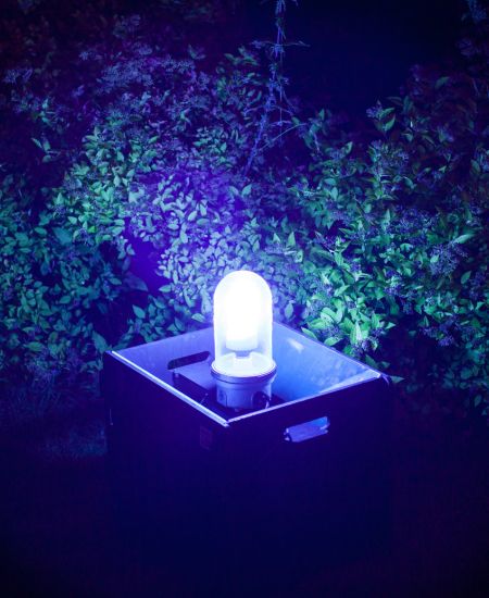 The NHBS Guide to Moth Trapping