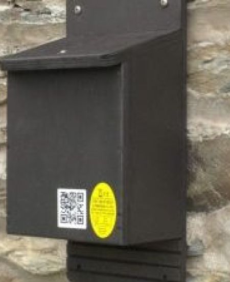 Top 10 Bat Boxes for Walls and Fences