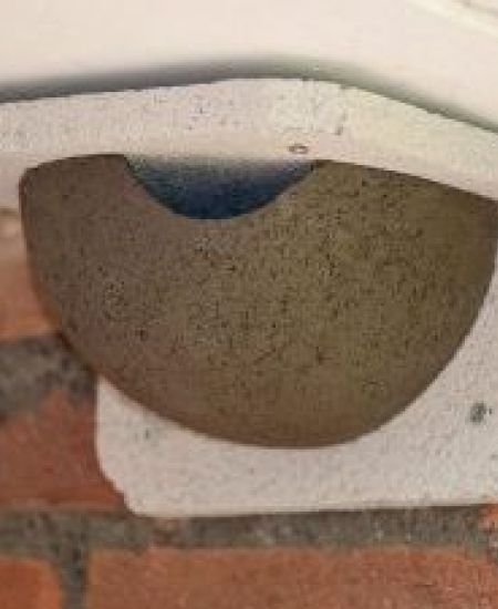 Top 10 Bird Boxes for Walls and Fences