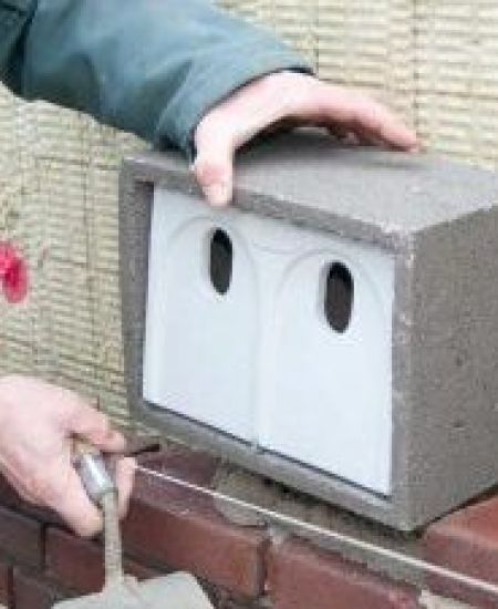 Top 10 Bird Boxes for New Builds and Developments
