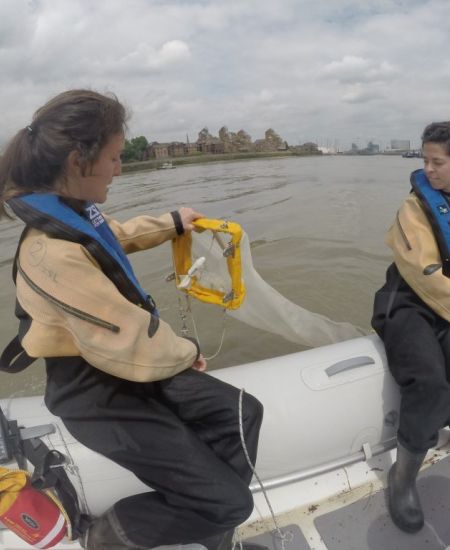 Made by NHBS – The Ichthyoplankton Net