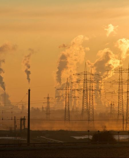 Popular Titles on Climate Change
