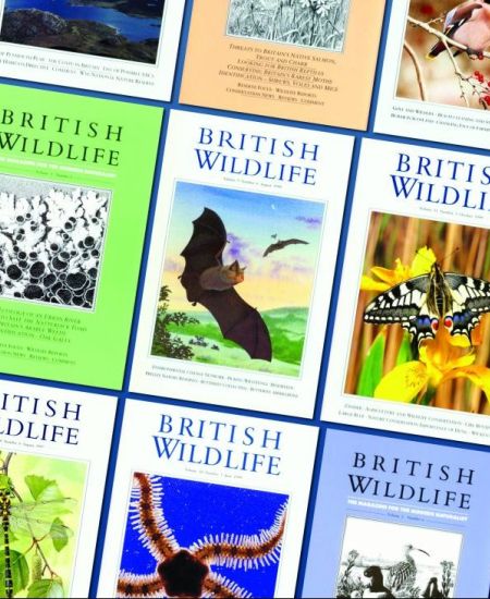 Celebrating 30 years of British Wildlife!
