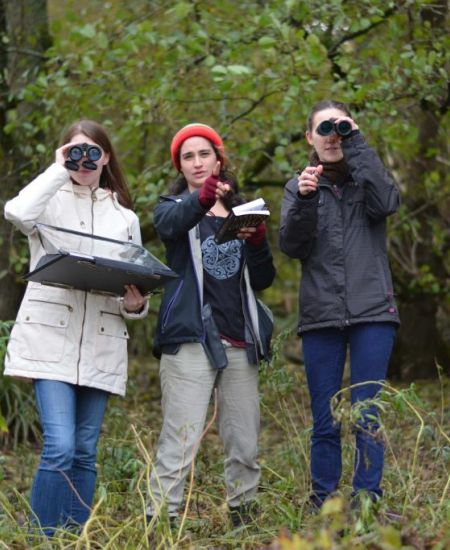 How to Choose a Pair of Binoculars