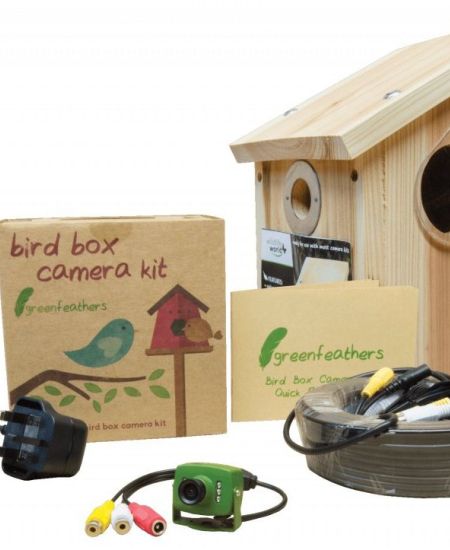 Watching Wildlife – Our New and Favourite Camera Kits