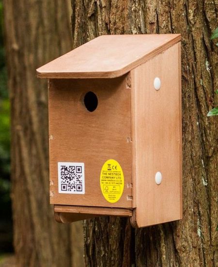 How to put up a nest box