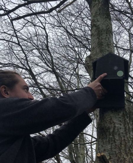 NHBS Guide: Where to Hang and How to Maintain your Bat Box