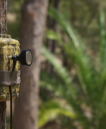 Anabat Swift Firmware Update – May 2020