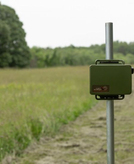 Song Meter Mini and Mini Bat firmware update