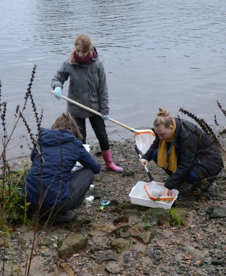 The NHBS Guide to Pond Dipping