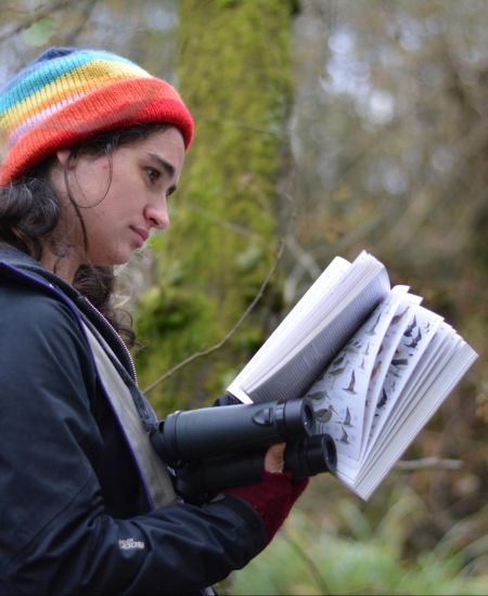 Improve your UK field skills with online ID resources