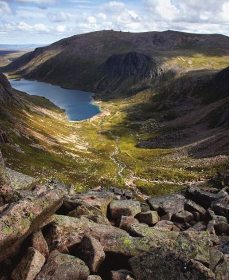 An interview with Iolo Williams