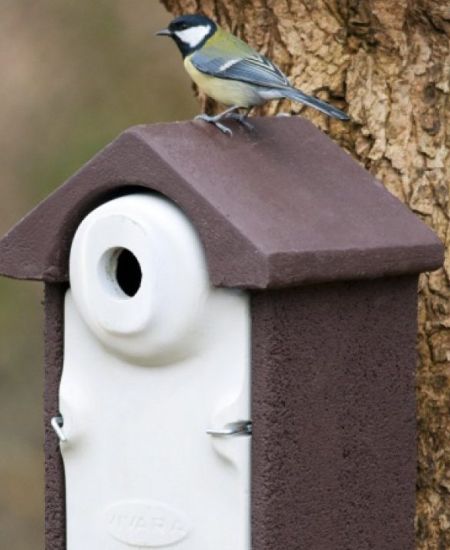 How to Clean a Nest Box