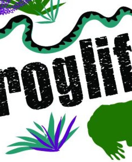 Froglife: Interview with CEO Kathy Wormald