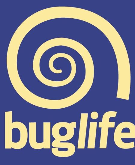 Buglife Q&A with Paul Hetherington
