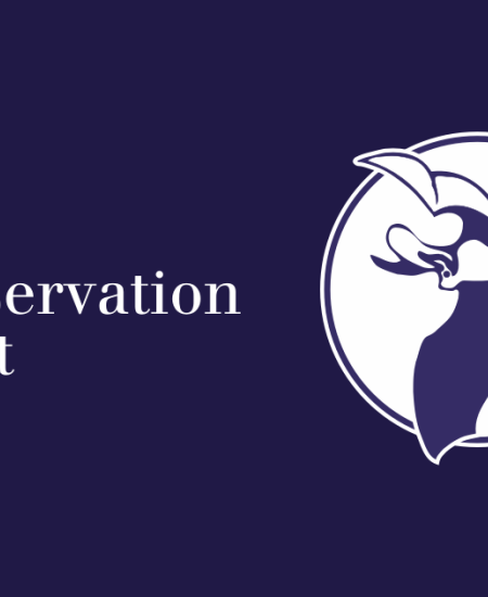 BCT Big Bat Skills Workshop 2021