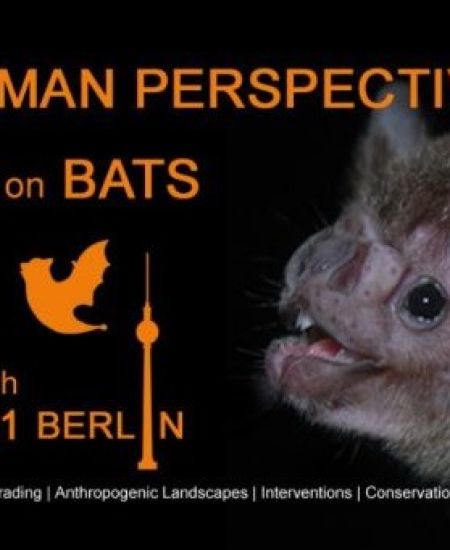 6th International Berlin Bat Meeting 2021