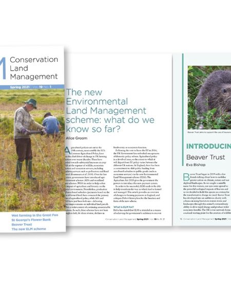 Conservation Land Management: Spring 2021