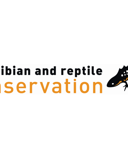 Amphibian and Reptile Conservation Trust: Q&A with Dr Tony Gent